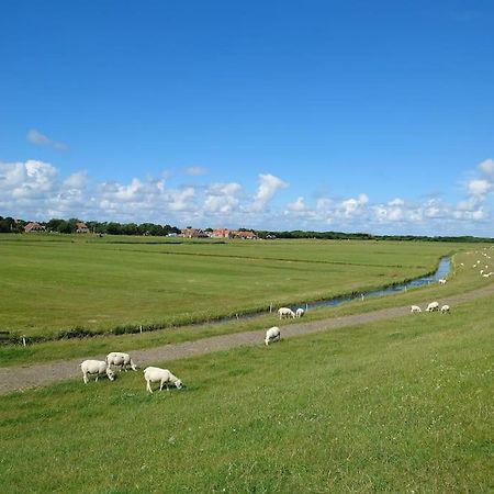 De Oostkamer; Eiland Appartement Naast Natuurgebied Boschplaat Oosterend  Buitenkant foto