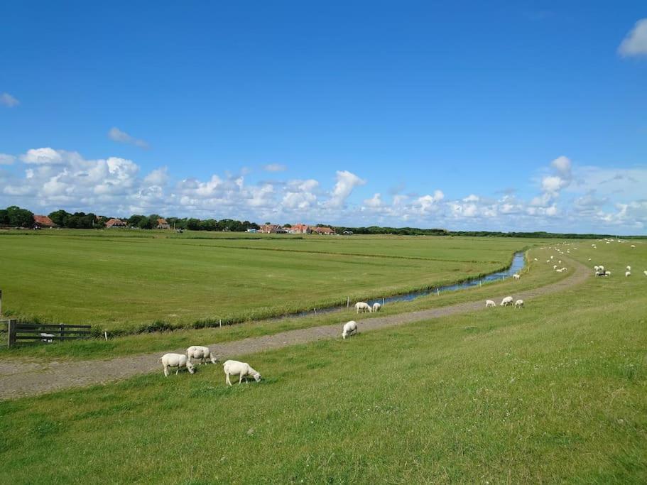 De Oostkamer; Eiland Appartement Naast Natuurgebied Boschplaat Oosterend  Buitenkant foto