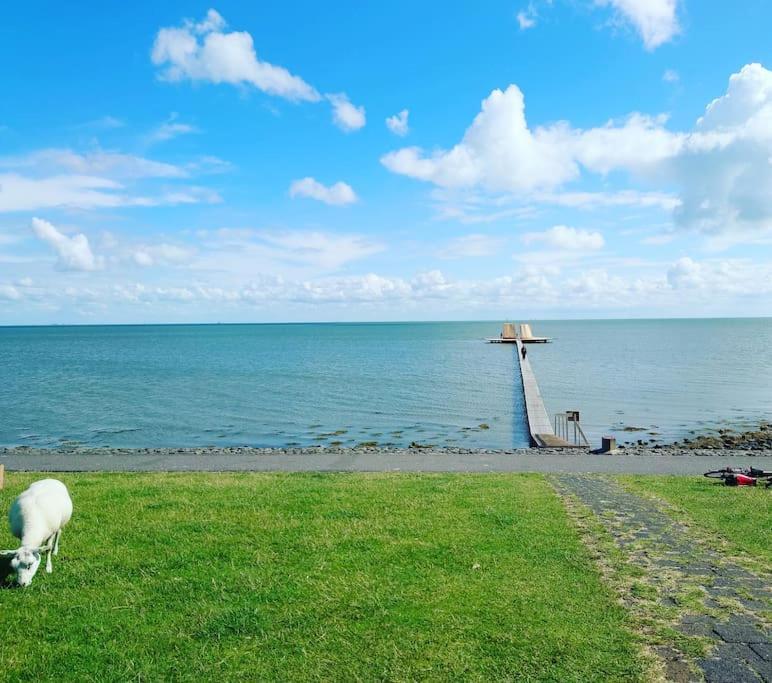 De Oostkamer; Eiland Appartement Naast Natuurgebied Boschplaat Oosterend  Buitenkant foto